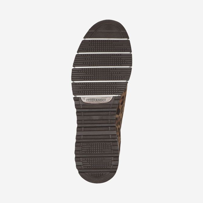  74703 - Brown / Leo look - Top view