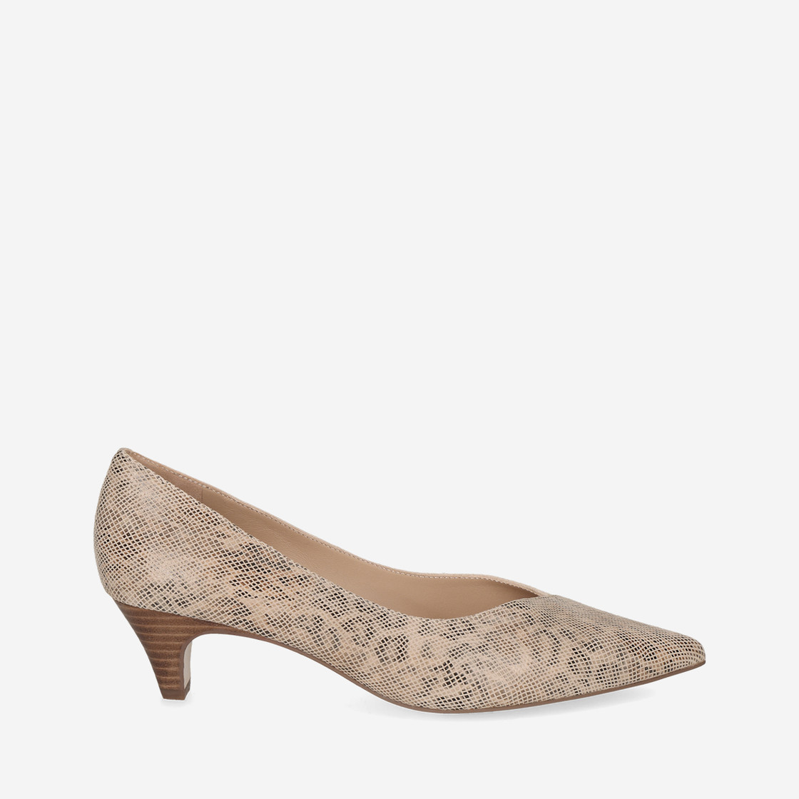  72441 - Braun / Leo-Look - Rückansicht